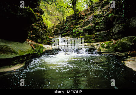 Wasserfälle, Clydach Schlucht, Gwent, Wales, UK, GB. Stockfoto