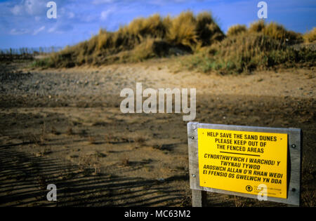 Sand Dune Schutz Anmelden Welsh, Ayr, Fluss Dee Estuary, North Wales, UK, GB. Stockfoto