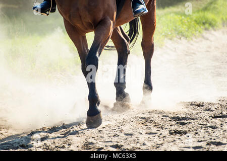 Die hufe von Walking Pferd mit Reiter in Sand Staub. Flache Freiheitsgrad. Stockfoto