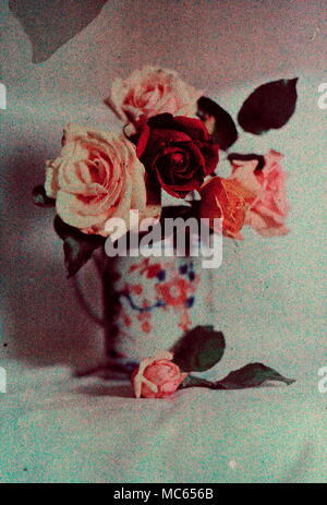 AJAXNETPHOTO. 1907 - 1920 (ca.). Ort unbekannt. - Frühe 20. JAHRHUNDERT FARBE FOTOGRAFIE; arrangiert Blumen mit AUTOCHROME FILM, AUTOCHROMES LUMIERES. Fotograf: unbekannt © DIGITAL IMAGE COPYRIGHT AJAX VINTAGE BILDARCHIV QUELLE: AJAX VINTAGE BILDARCHIV SAMMLUNG REF: 181004 ACHM 03 Stockfoto