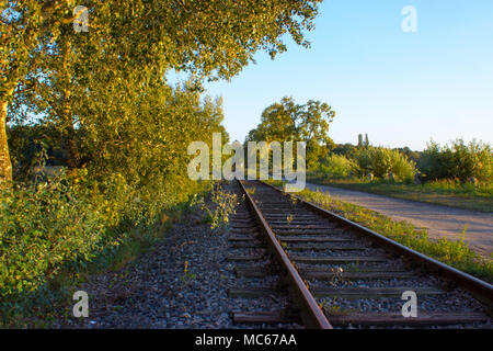 Im Vordergrund sind Bäume und Sträucher. Railroad Tracks werden durch Sonnenuntergang beleuchtet. Sie laufen hinter dem Horizont. Neben der Schiene ist der Weg. In t Stockfoto