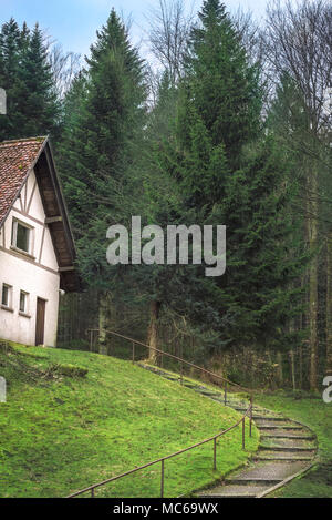 Treppen auf dem Weg zu einem verlassenen alten Deutschen Haus im Wald, im Schwarzwald, in der Nähe von Schluchsee und Freiburg im Breisgau, Deutschland. Stockfoto