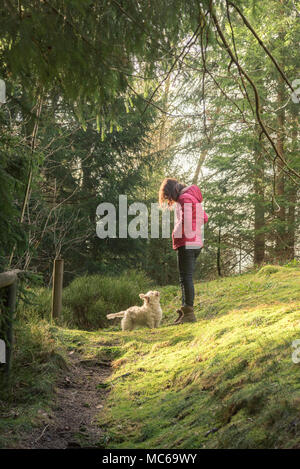 Junge brünette Frau mit ihrem Hund auf einem wandern Gasse im Schwarzwald auf einem sonnigen Tag Stockfoto