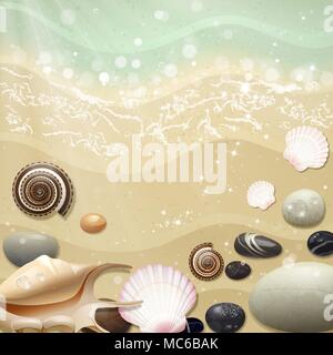 Sommer Meer Strand mit Muscheln und Steine Stock Vektor