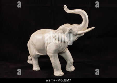 Die rechte Seite des Trompeten Hellgrau elephant Stockfoto