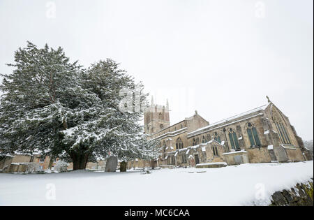 Der hl. Jungfrau Maria Kirche in Gillingham North Dorset England UK nach Schneefall im März 2018 mit einem großen Eibe auf der linken Seite Stockfoto