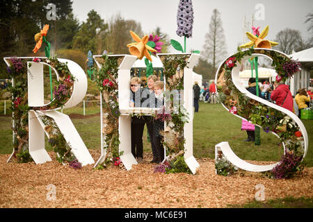 Die Leute schauen durch eine Blume so anzuzeigen, wie Sie ihr Bild während des ersten Tages der RHS Flower Show Cardiff, die bis Sonntag läuft am 15. April an Bute Park, das Schloss von Cardiff, Cardiff, Wales getroffen haben. Stockfoto