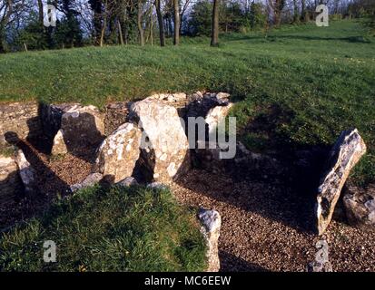 Steine - der Jungsteinzeit lange - barrow an Nympsfield, in der Nähe von Stroud. c. 2800 BCV. Die mauerkronen wurden entfernt. Knochen von 13 Personen im Inneren der Höhlen gefunden Stockfoto