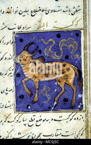 Mythen Tierkreiszeichen Stier der Stier der Stier von einem arabischen Buch auf Wunder (von denen der Tierkreis ist aufgeführt als einer) Aus der Dar al-Athar al Islammiyyah Kuwait Stockfoto
