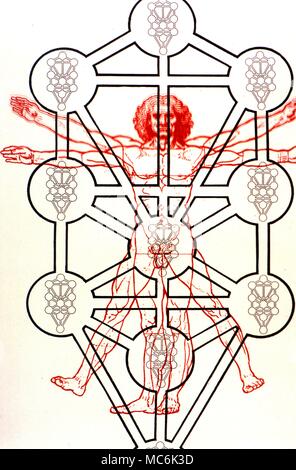 Kabbala Sephirothic Baum und Adam Kadmon Der Sephirothic Baum der Kabbala überlagert mit dem Bild des kosmischen Menschen wie von Leonardo da Vinci gezeichnet als eine Art der Adam Kadmon oder urmenschen Kabbala n: manchmal als Kabbala hat zwei Bedeutungen; der erste eine Körper der mystischen Lehren der rabbinischen Ursprungs, die auf eine esoterische Interpretation der Hebräischen Schriften basieren. Die Kabbala ist auch als Geheimlehre ähneln diese Lehren bekannt. Ein traditionell geheime esoterische oder okkulte Angelegenheit Stockfoto