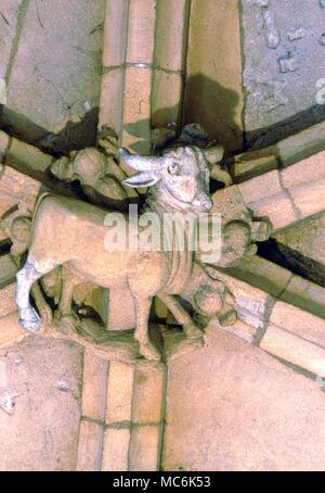 Sternzeichen - Stier. Stier der Stier auf das Mauerwerk Decke der Fitzjames Arch im Merton College, Oxford. Diese Oxford Zodiac hat bis 1497 datiert worden Stockfoto