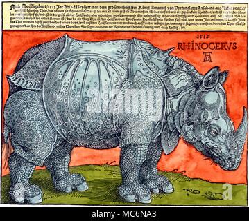 Rhinoceros Holzschnitt von Albrecht Dürer die Nashörner 1515 Stockfoto