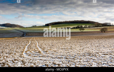 Limagne plain im Winter. Puy-de-Dome. Reifen Spuren in einem Winter Feld in Auvergne, Frankreich Stockfoto