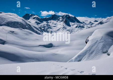 Critter Spuren im Schnee in der Vallee des Avals Courchevel Stockfoto
