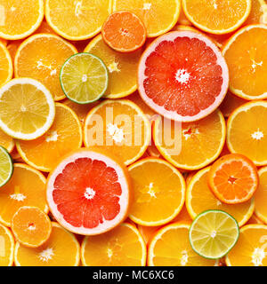 Isolierte Zitrusfrüchte. Stücke von Zitrone, Limone, rosa Grapefruit und orange auf weißem Hintergrund, mit Freistellungspfad Stockfoto
