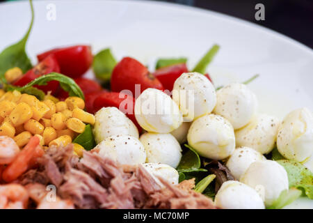 Frischer gemischter Salat mit Thunfisch und Mozzarella und selektiven Fokus Stockfoto