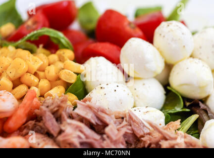 Frischer gemischter Salat mit Thunfisch und Mozzarella und selektiven Fokus Stockfoto