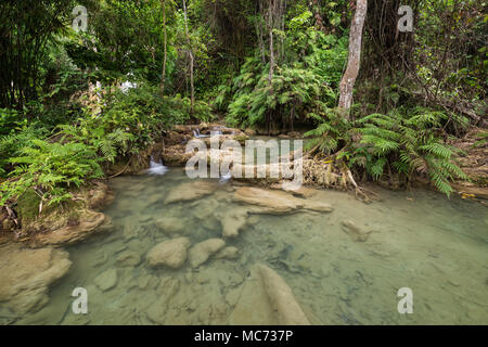 Anzeigen von seichten Teichen und die üppigen Bäume und Pflanzen neben dem khoun Moung Keo Wasserfall in der Nähe von Luang Prabang in Laos. Stockfoto