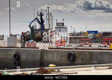 Fischtrawler günstig bei Fraserburgh Hafen, bei der die Zeile der Möwen auf der Suche. Stockfoto