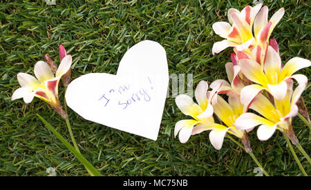 Hinweis in der Form des Herzens mit Worten, es tut mir Leid!, mit Blumen auf grünem Gras. Stockfoto