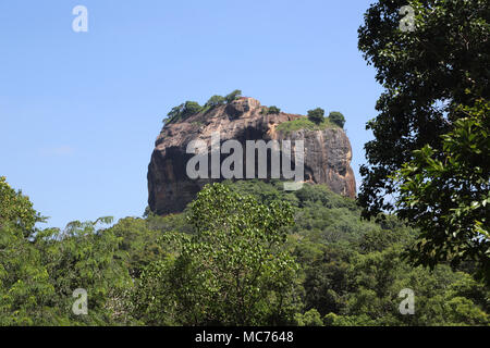 Sigiriya North Central Provinz Sri Lanka Rock Festung Stockfoto