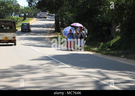 North Central Provinz Sri Lanka Straße in Richtung Giritale Frauen zu Fuß von der Straße mit Sonnenschirmen für Schatten von der heißen Sonne Stockfoto