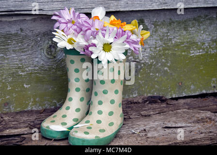 Feder Blumenstrauß in Polka Dot Stiefel auf rustikalem Holz Stockfoto