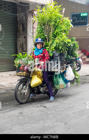 Eine Frau auf einem Motorrad mit Topfpflanzen in Ho Chi Minh City, Vietnam geladen. Stockfoto