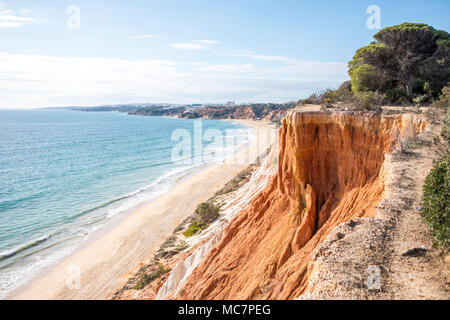 Wunderschöne Klippen entlang den Strand Praia da Falésia und den Atlantik in Albufeira, Algarve, Portugal Stockfoto