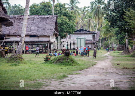 Swagup Dorf Insekt Menschen mit hölzernen Pfahlbauten, oberen Sepik, Papua-Neuguinea Stockfoto