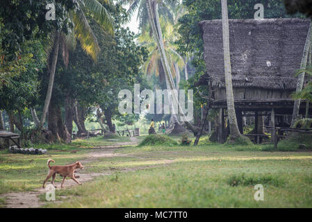 Swagup Dorf Insekt Menschen mit hölzernen Pfahlbauten, oberen Sepik, Papua-Neuguinea Stockfoto