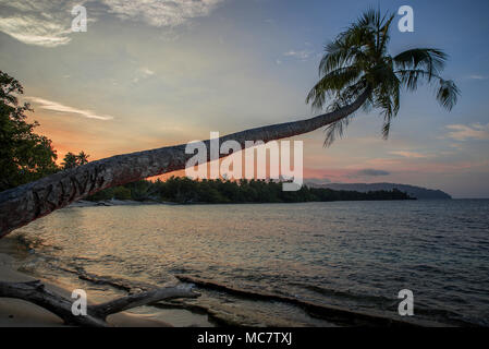 Postkarte - Stil Sandstrand mit Palmen in der Nähe von Wasser bei Sonnenuntergang, Mushu Island, Papua New Guinea Stockfoto