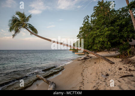 Postkarte - Stil Sandstrand mit Palmen in der Nähe Wasser, Mushu Island, Papua New Guinea Stockfoto