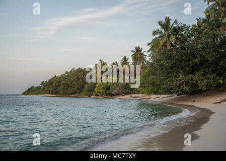 Postkarte - Stil Sandstrand mit Palmen in der Nähe Wasser, Mushu Island, Papua New Guinea Stockfoto