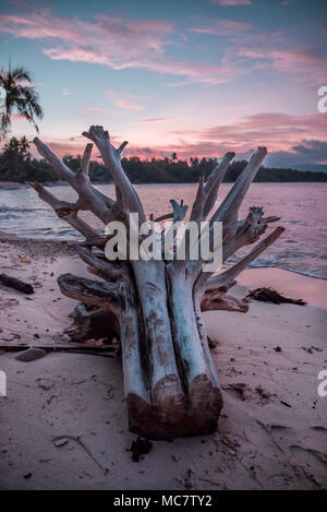 Bäume Silhouetten bei Sonnenuntergang auf Postkarte Stil Sandstrand von Mushu Island, Papua New Guinea Stockfoto