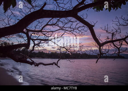 Bäume Silhouetten bei Sonnenuntergang auf Postkarte Stil Sandstrand von Mushu Island, Papua New Guinea Stockfoto