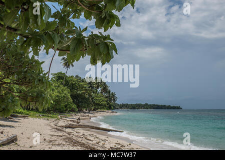 Postkarte - Stil Sandstrand mit Palmen in der Nähe Wasser, Mushu Island, Papua New Guinea Stockfoto