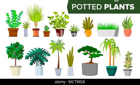 Topfpflanzen Set Vektor. Indoor Home, Office, modernen Stil Zimmerpflanzen. Farbe grün Pflanzen im Topf. Verschiedene. Blumen innen Symbol. Dekoration Design Element. Isolierte flache Darstellung Stock Vektor