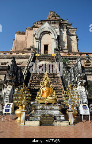 Golden Buddha Statue und Drachen an der Treppe zum großen Pagode Chedi des Wat Chedi Luang, Chiang Mai, Thailand Stockfoto