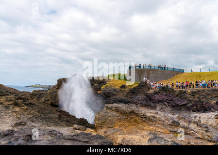 Sydney, NSW, Australia-March 31, 2018: Blick auf den Leuchtturm und Blowhole in Kiama, bekannt für Spaziergänge an der Küste, Regenwald und unberührte Strände Stockfoto