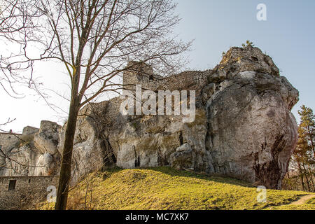 Ruine der Burg aus dem 14. Jahrhundert in Bakowiec Morsko (Polen) Stockfoto