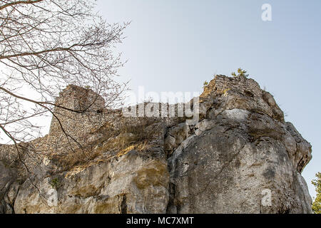 Ruine der Burg aus dem 14. Jahrhundert in Bakowiec Morsko (Polen) Stockfoto