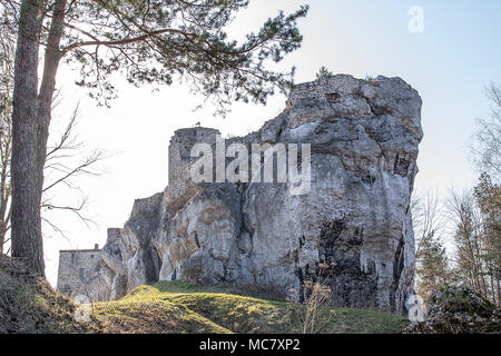 Ruine der Burg aus dem 14. Jahrhundert in Bakowiec Morsko (Polen) Stockfoto