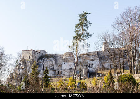 Ruine der Burg aus dem 14. Jahrhundert in Bakowiec Morsko (Polen) Stockfoto