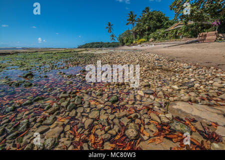 Exotischen Strand mit Felsen und Moose in tropischen Strand mit tropischen Insel Boipeba Bahia Stockfoto