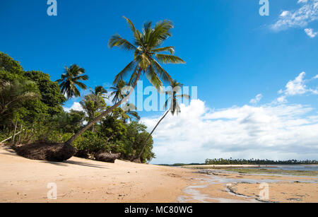 Boipeba Island. Tropische Landschaft mit einsamen Strand und Kokospalmen. Stockfoto