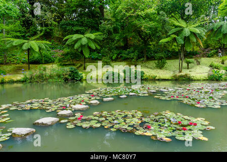 Blick auf den Naturpark von Terra Nostra, in Sao Miguel, Azoren, Portugal Stockfoto