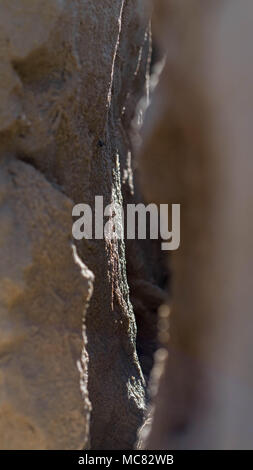 Sandige Schlucht in Sonne und Schatten bedeckt Stockfoto