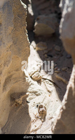 Sandige Schlucht in Sonne und Schatten bedeckt Stockfoto