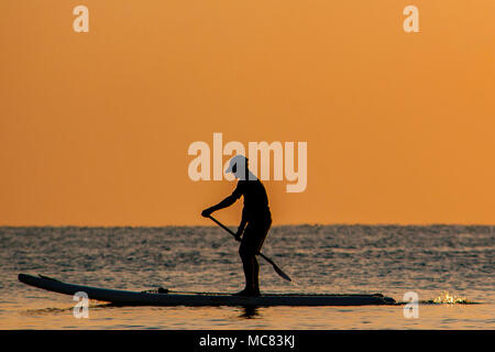 Ein Stand up Paddle boarder gegen die bunten am frühen Morgen Sonnenaufgang über Hollywood Beach silhouetted, Florida Stockfoto